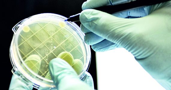 Les contaminations microbiennes en médecine podiatrique : un problème à résoudre