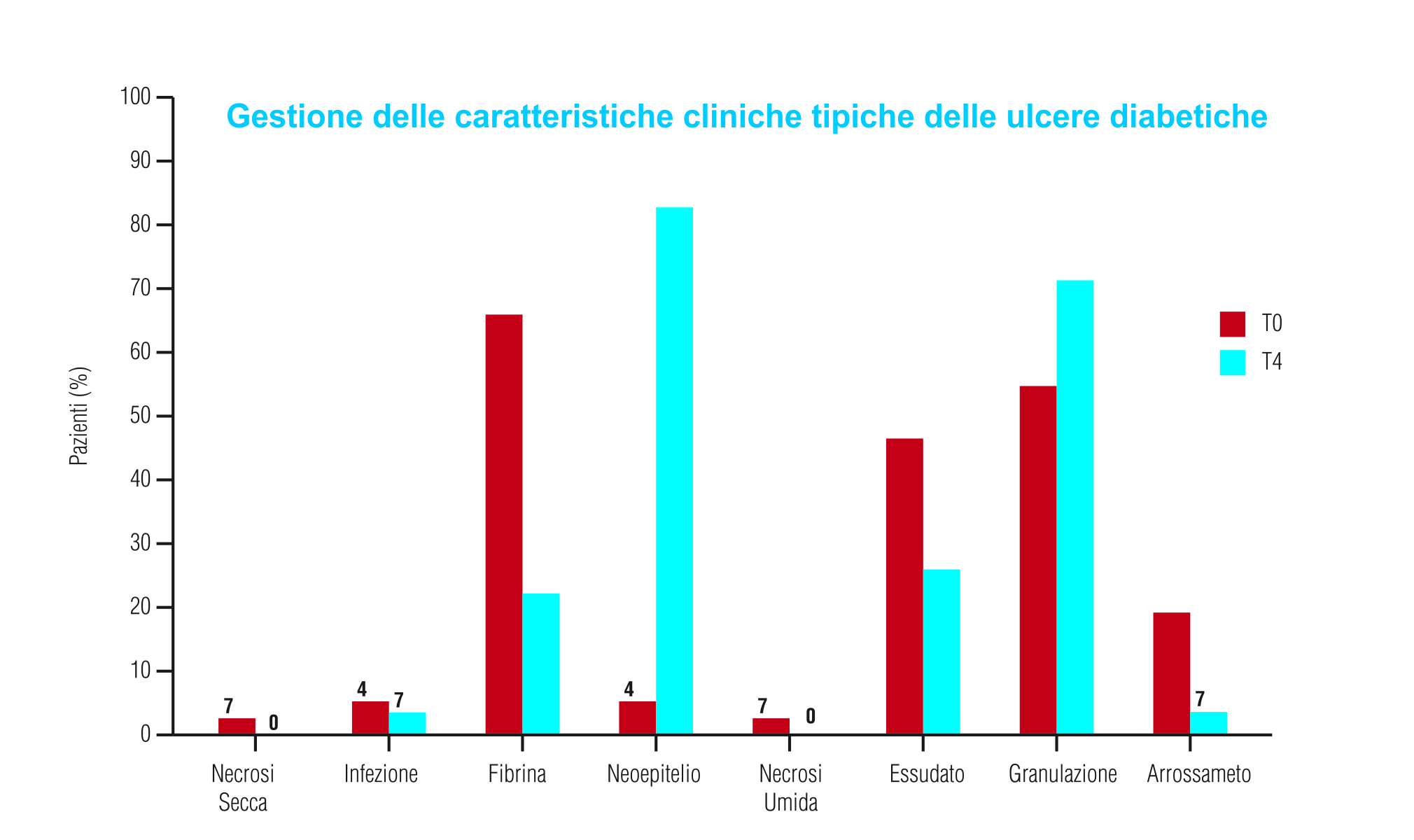 Cura per l’ulcera del piede diabetico: l’importanza della riepitelizzazione cutanea